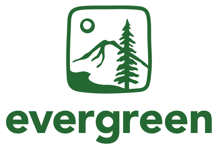 Evergreen